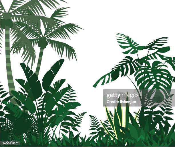 jungle - banana leaves stock illustrations