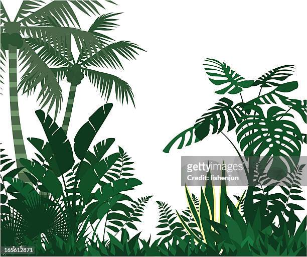 jungle - arbre tropical 幅插畫檔、美工圖案、卡通及圖標