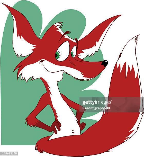 fox - bushy stock illustrations