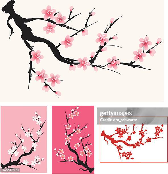 bildbanksillustrationer, clip art samt tecknat material och ikoner med plum blossom - äppelträd