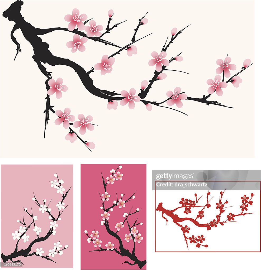 Plum blossom