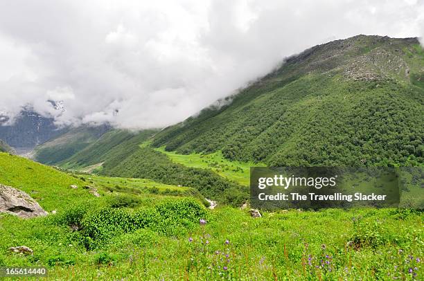 valley of flowers uttaranchal - valley of flowers uttarakhand stock pictures, royalty-free photos & images