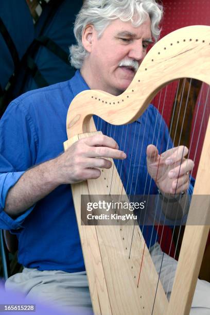 playing celtic harp - harp stock pictures, royalty-free photos & images