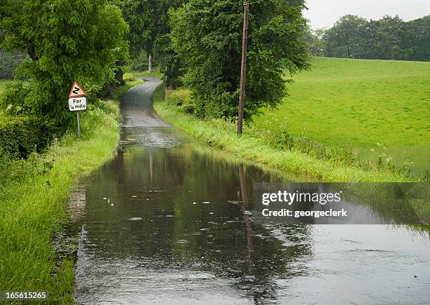 flooded country road - overstroming stockfoto's en -beelden