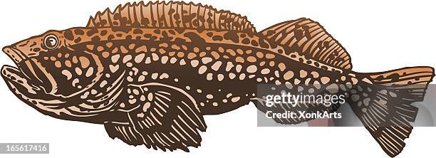 76 Ling Cod Stock Photos, High-Res Pictures, and Images - Getty Images