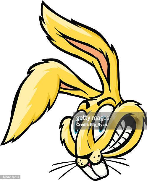 jack rabbit - jackrabbit stock illustrations