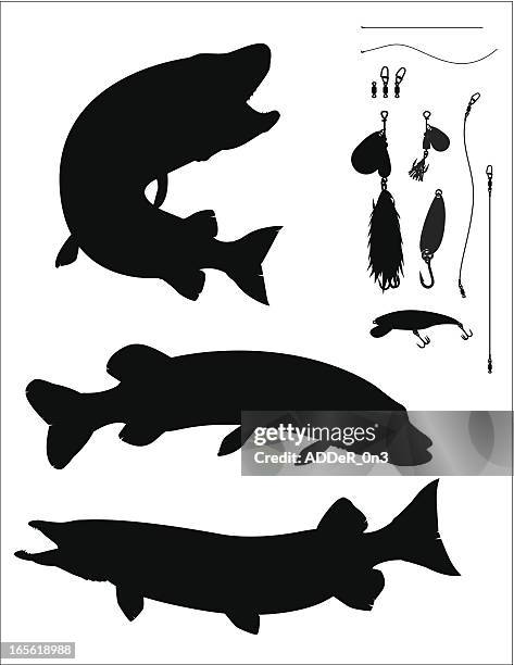 stockillustraties, clipart, cartoons en iconen met muskellunge and pike - pike fish