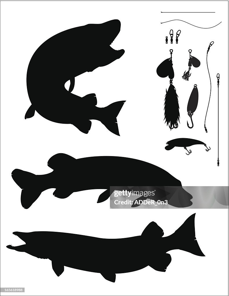 Muskellunge And Pike