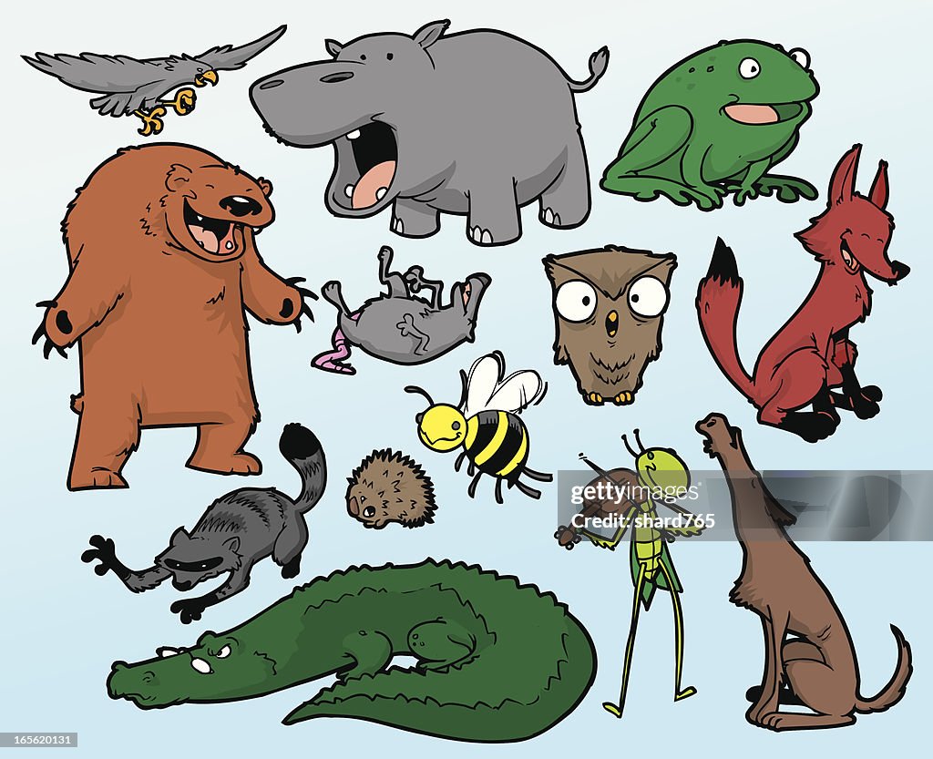 Wild Animal Collection