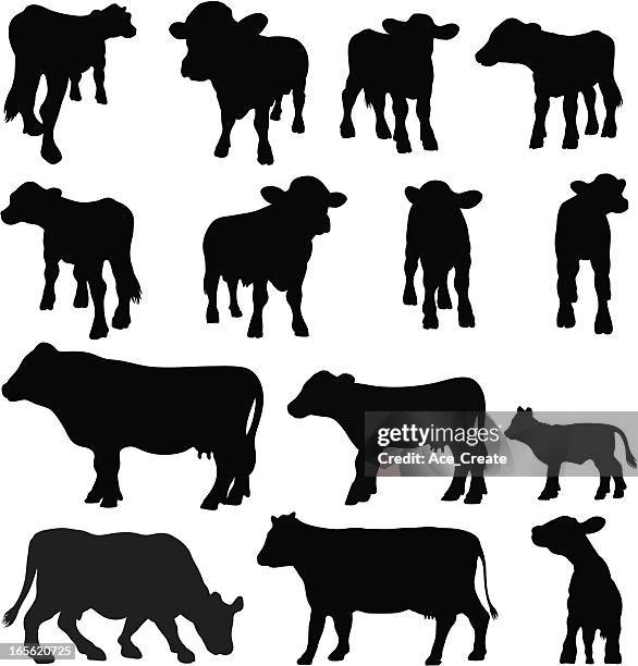 cow silhouette set (breeds and angles) - large group of animals stock illustrations