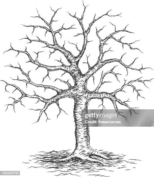 Problem Tree Drawing Empty Tree Drawing No Leaves