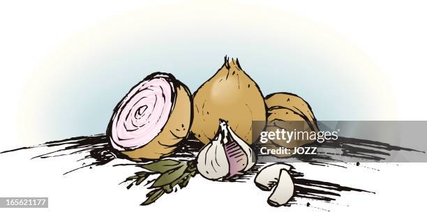 garlic and onion - rosemary flower stock illustrations