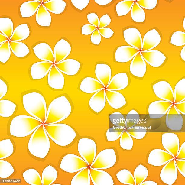 stockillustraties, clipart, cartoons en iconen met frangipani flowers - seamless tile - frangipani