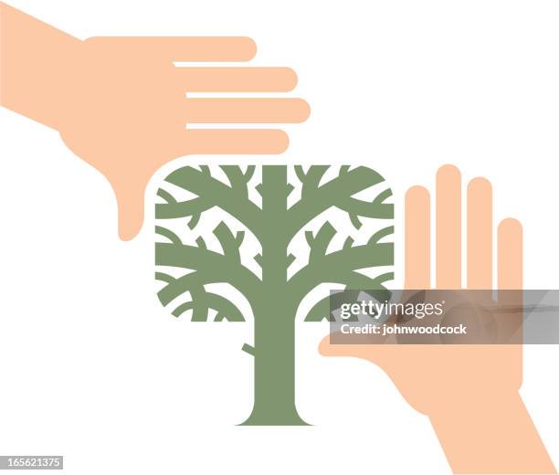 hands framing tree - looking through fingers stock illustrations