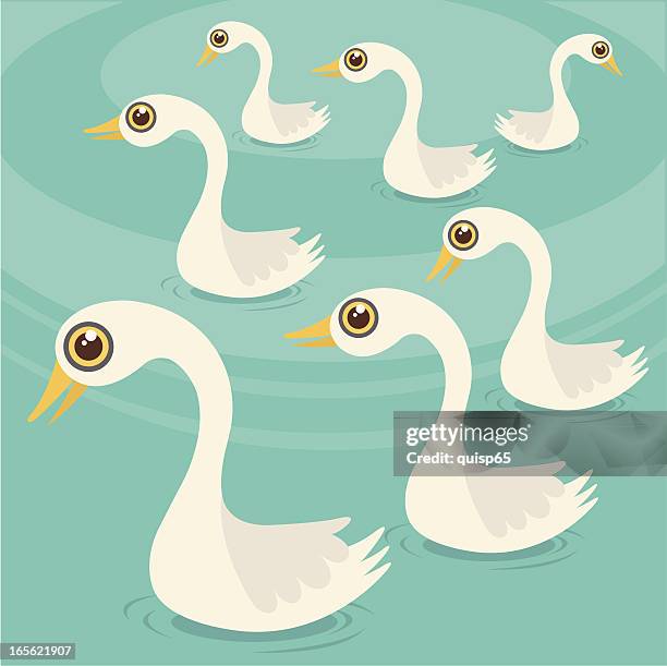 Seven Swans A Swimming High-Res Vector Graphic - Getty Images
