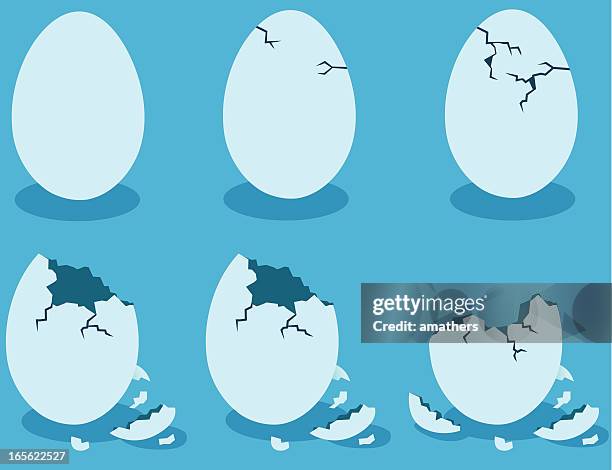 blue eggshells-englische redewendung - cracked egg stock-grafiken, -clipart, -cartoons und -symbole