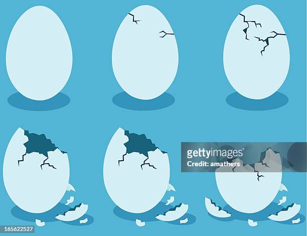 blue eggshells - animal egg stock illustrations
