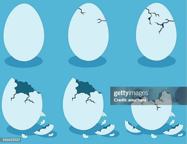 blue eggshells - animal egg 幅插畫檔、美工圖案、卡通及圖標