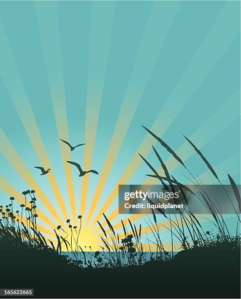 stockillustraties, clipart, cartoons en iconen met a sun ray sunset picture with blue sky - sand dune