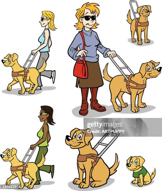 seeing eye-guide dog - seeing eye dog stock illustrations