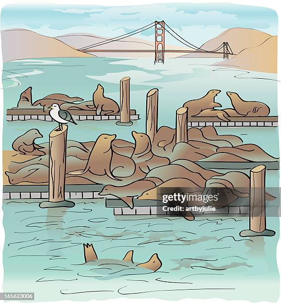 pier 39 - san francisco - sea lion stock illustrations