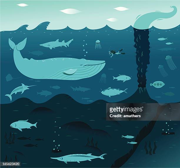 illustrazioni stock, clip art, cartoni animati e icone di tendenza di balena blu intenso - mare