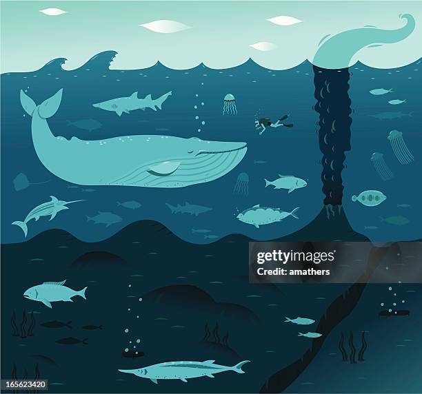 deep blue whale - diving flipper stock illustrations