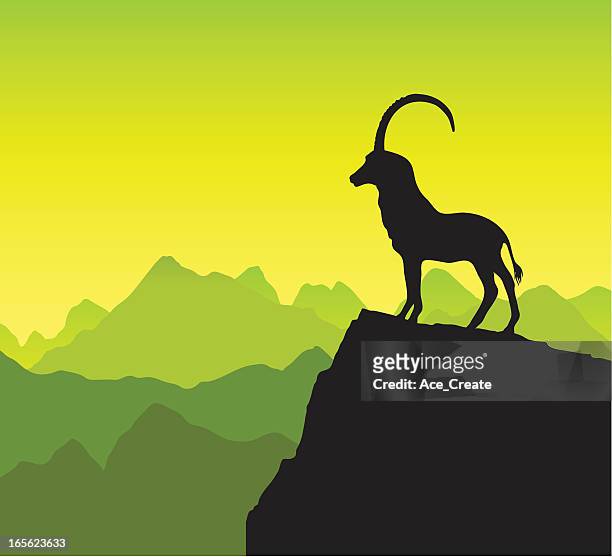 mountain goat silhouette - black goat stock illustrations