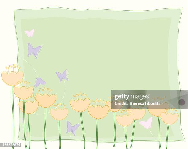 spring buttercups - ranunculus stock illustrations