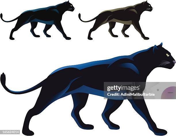 black panther - black leopard stock illustrations