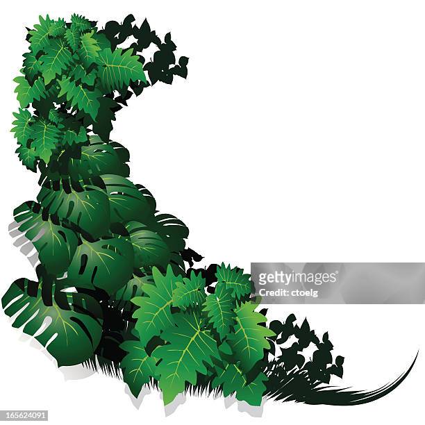 jungle border - anthurium stock illustrations