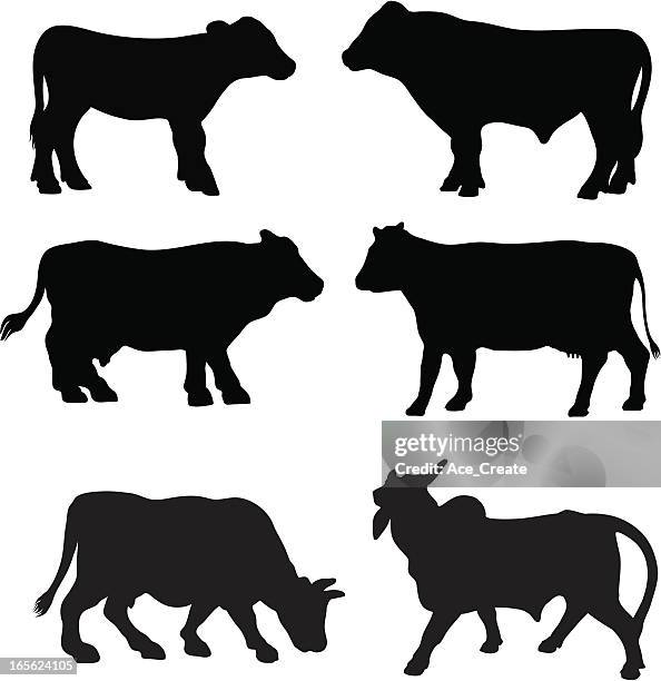 cow breed silhouette collection - bull silhouette 幅插畫檔、美工圖案、卡通及圖標