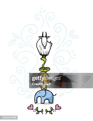 Animal stack Animal stack