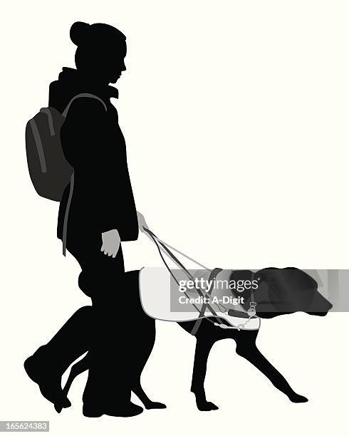 ilustrações de stock, clip art, desenhos animados e ícones de o guidedog - cegueira