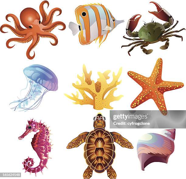 stockillustraties, clipart, cartoons en iconen met sea creatures - turtle