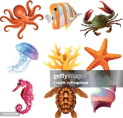 Sea Creatures Sea Creatures
