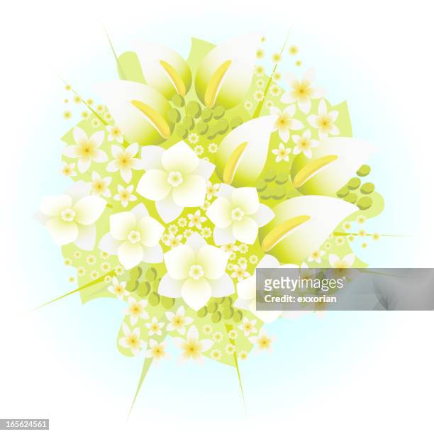 spring bouquet - anthurium stock illustrations