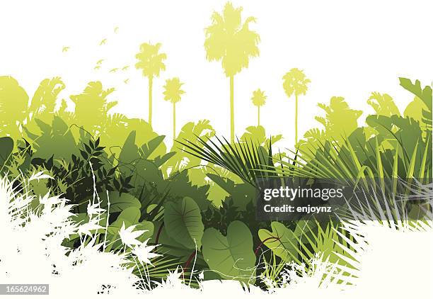 ilustraciones, imágenes clip art, dibujos animados e iconos de stock de fondo de la selva - exotismo