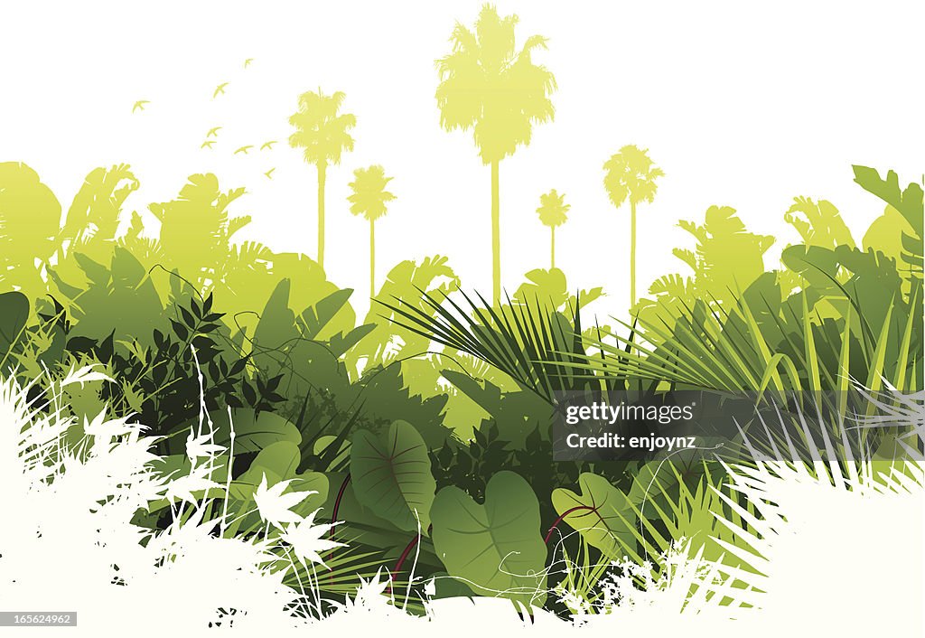 Jungle background