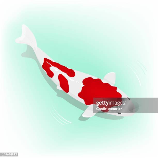 koi carp - carp stock illustrations