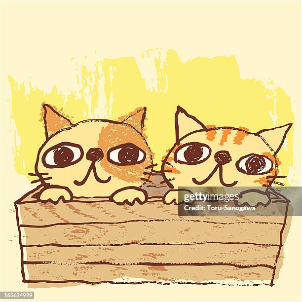 two cats in box - cat in box stock illustrations