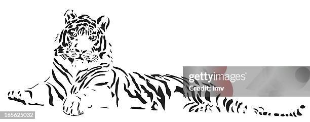 tiger vector - tiger face stock illustrations