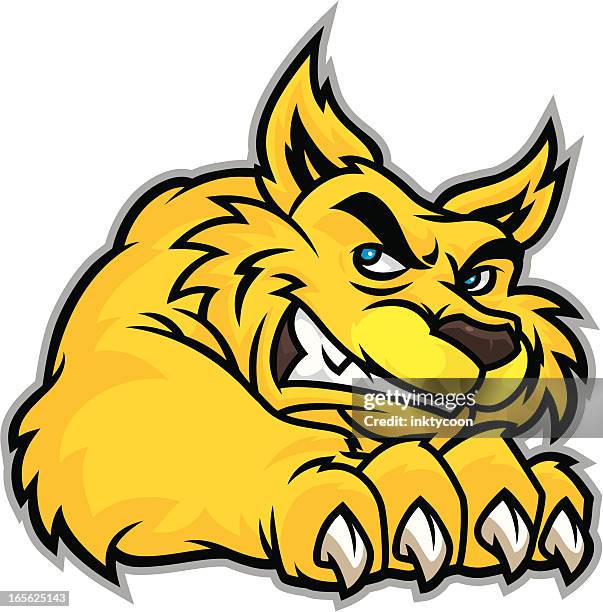 wildcat mascot claw - puma stock illustrations