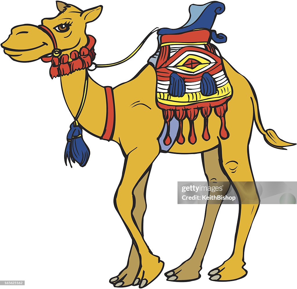 Camel Cartoon High-Res Vector Graphic - Getty Images