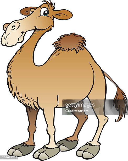 543 Camel Cartoon Photos and Premium High Res Pictures - Getty Images 543 Camel Cartoon Photos and Premium High Res Pictures - Getty Images