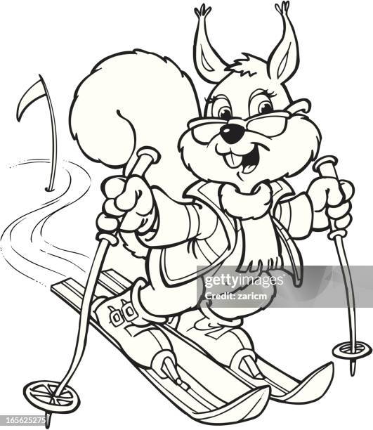 squirrel on skis - squirrel isolated stock illustrations