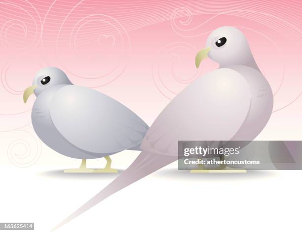 liebe vögel ablehnung - nicht-erwiderte-liebe stock-grafiken, -clipart, -cartoons und -symbole