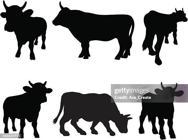 illustrations, cliparts, dessins animés et icônes de collection de silhouette de taureau - vache noire et blanche