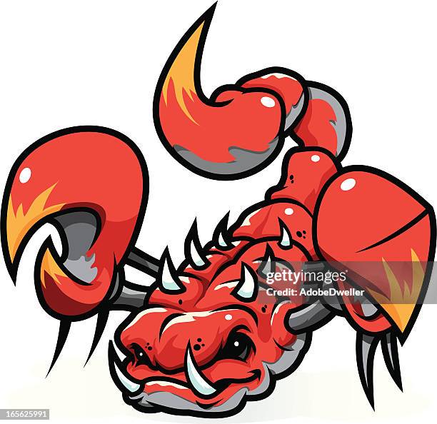 ilustraciones, imágenes clip art, dibujos animados e iconos de stock de escorpión - scorpion stinger
