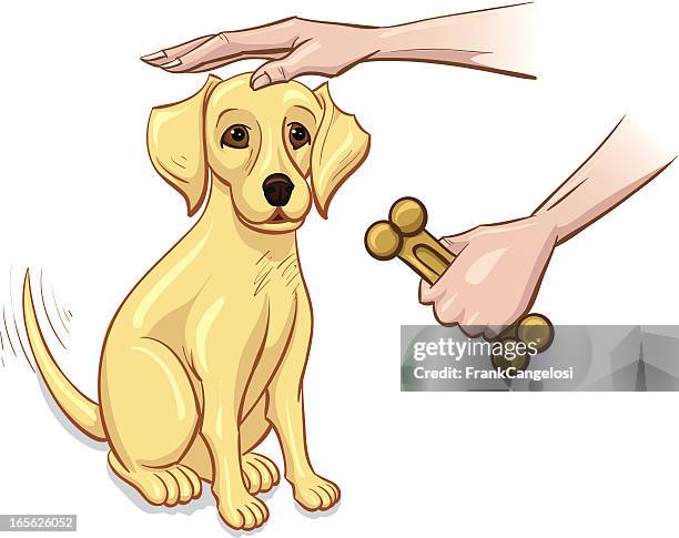 good puppy - dog biscuit stock illustrations